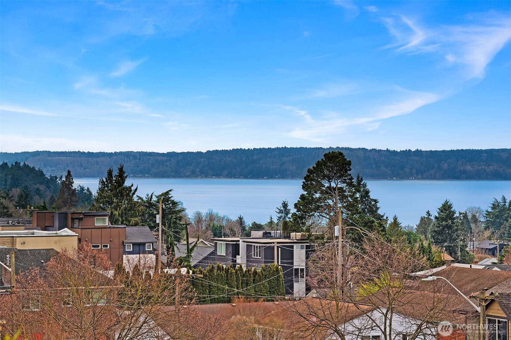 5616 California Avenue Southwest, Unit C Seattle, WA 98136 - Photo 2 of 36 a view of lake and mountain view