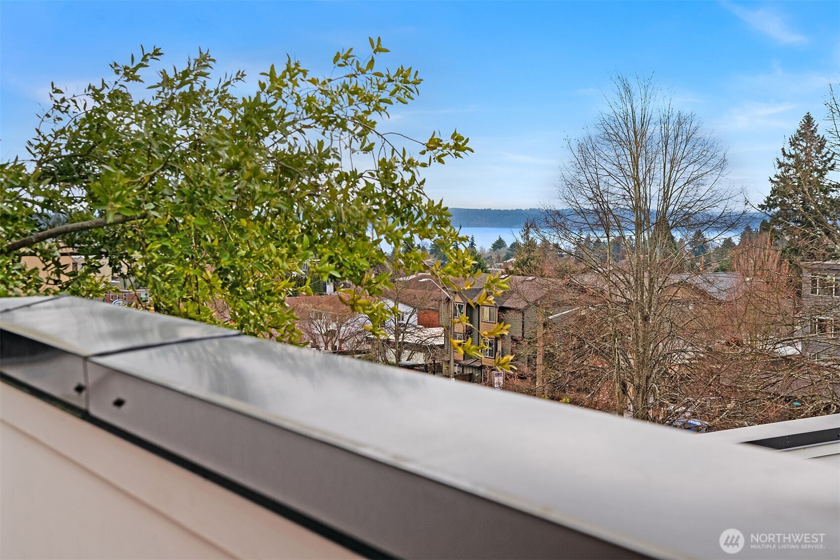 5616 California Avenue Southwest, Unit C Seattle, WA 98136 - Photo 32 of 36 a view of a house and a street view