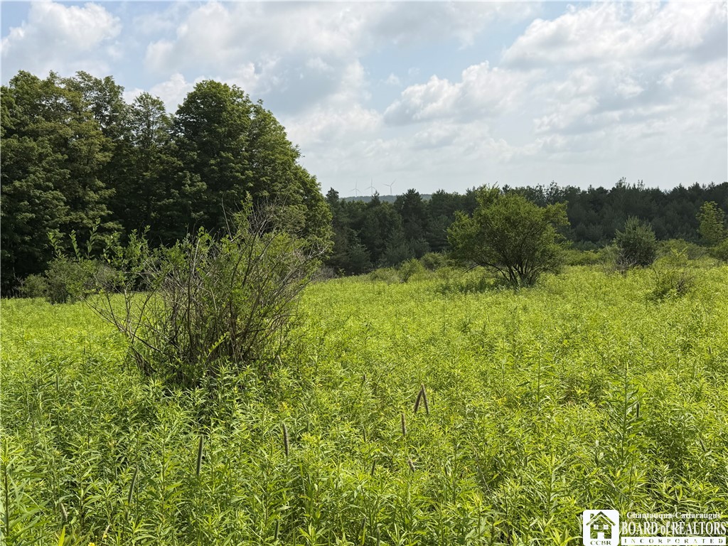 2751 Canfield Road Cohocton, NY 14826 - Photo 17 of 50