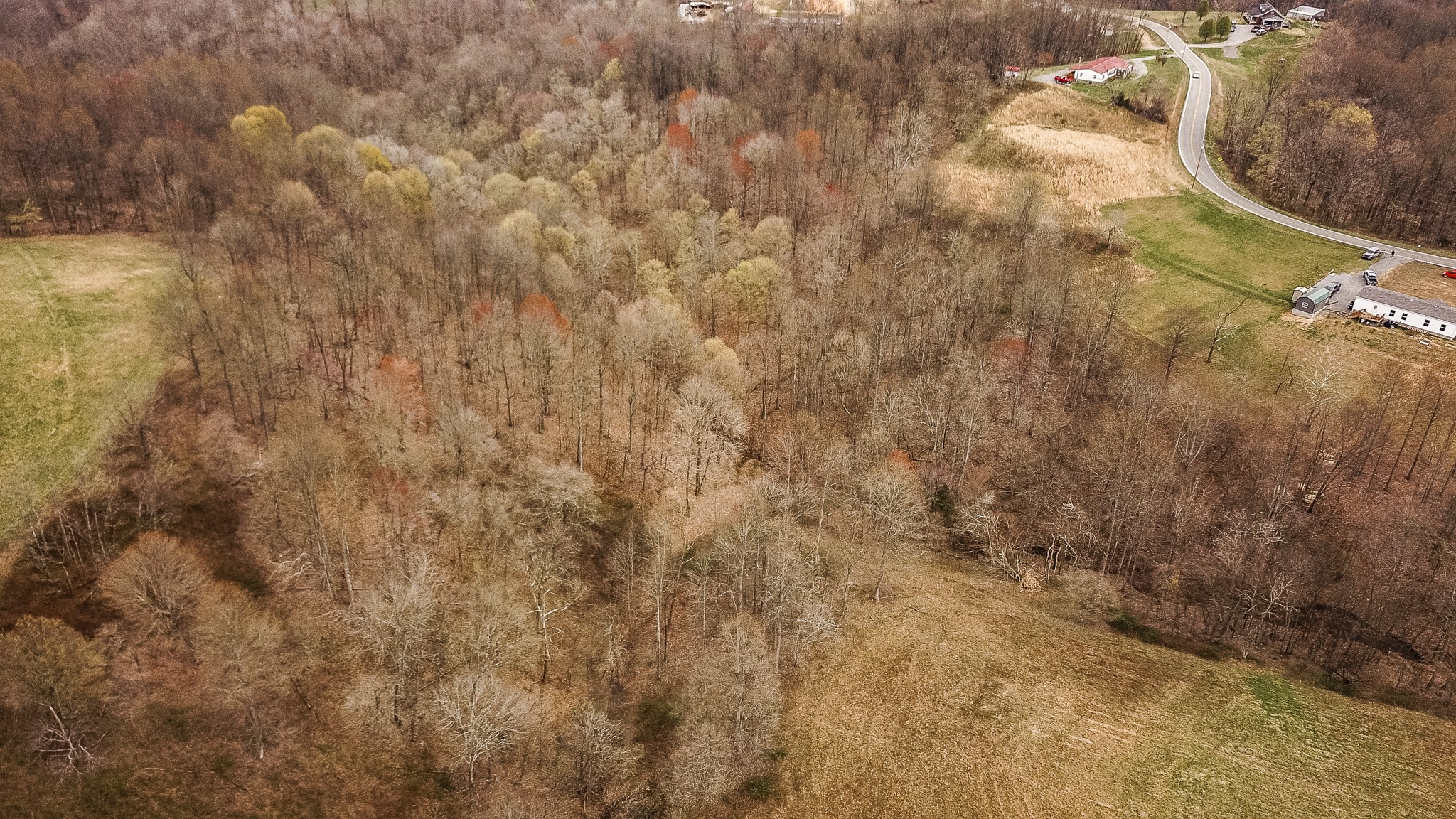 1690 Green Grove Road Hartsville, TN 37074 - Photo 11 of 16 a view of a dry yard