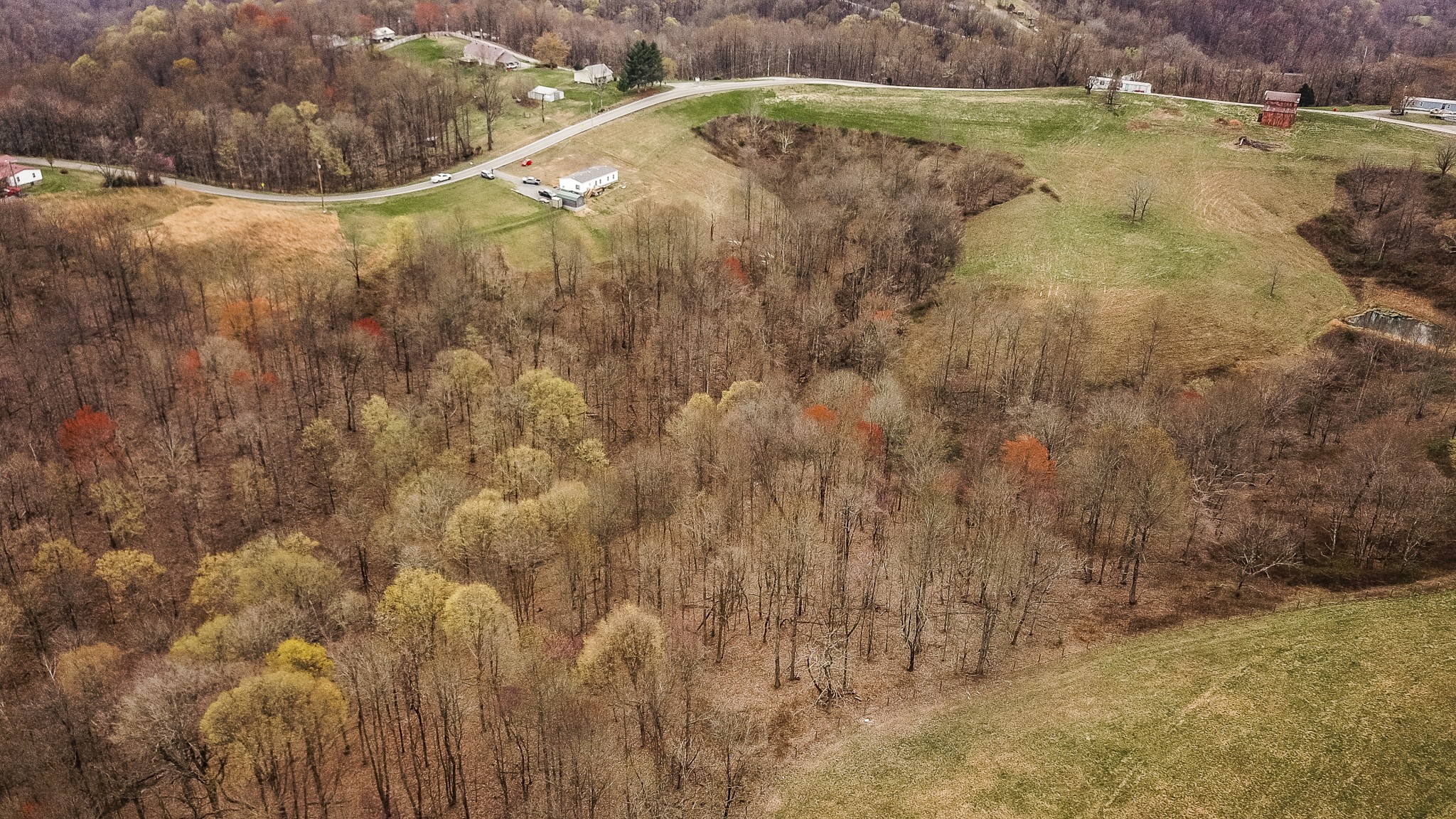1690 Green Grove Road Hartsville, TN 37074 - Photo 7 of 16 a view of a small yard