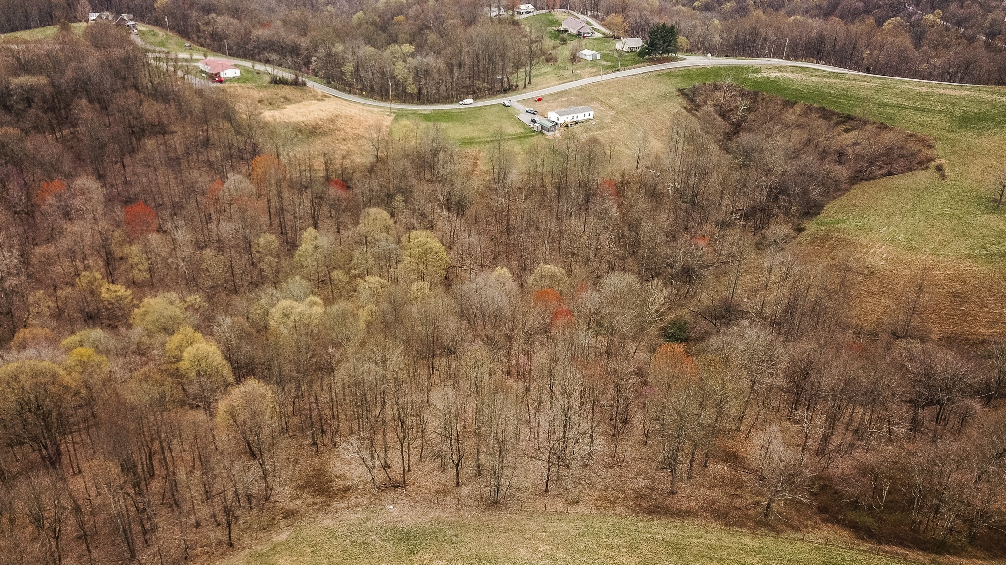 1690 Green Grove Road Hartsville, TN 37074 - Photo 8 of 16 a view of a yard