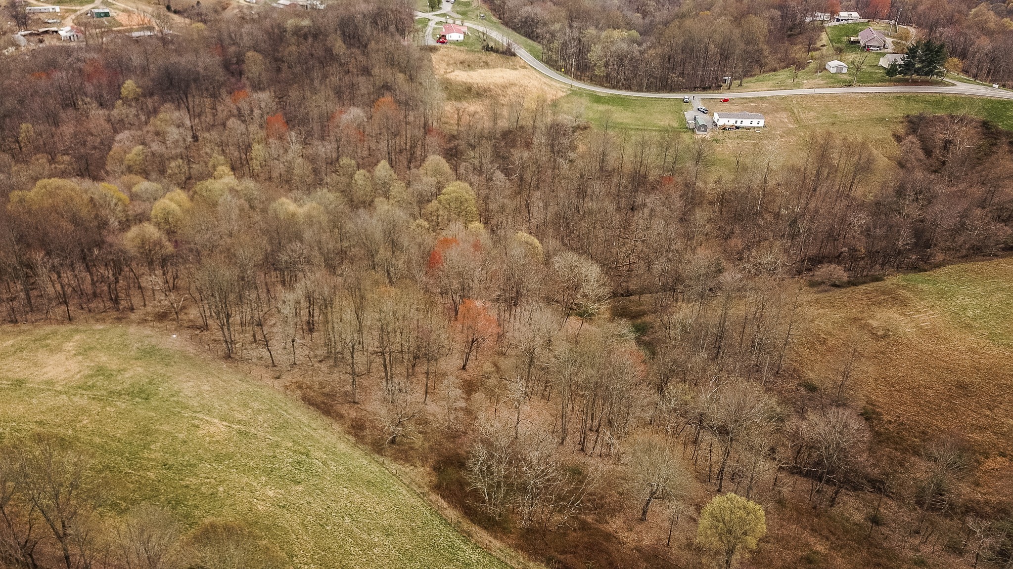 1690 Green Grove Road Hartsville, TN 37074 - Photo 9 of 16 a view of a lake view