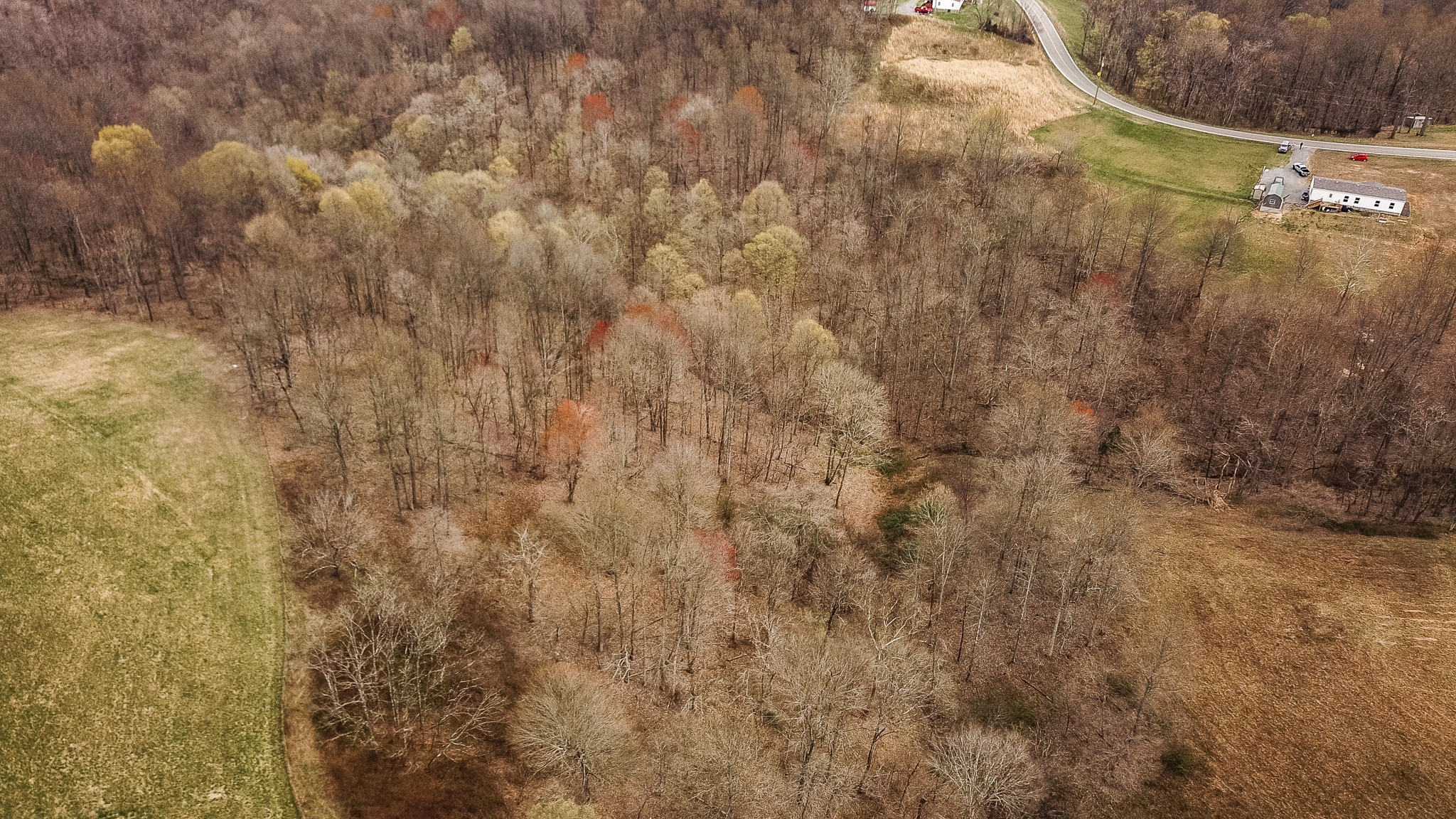 1690 Green Grove Road Hartsville, TN 37074 - Photo 10 of 16