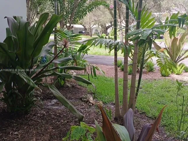 a plant that is in the garden