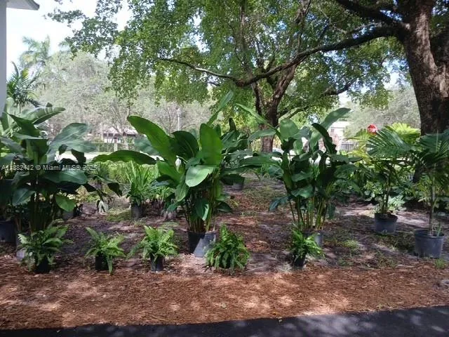 a view of a garden with plants