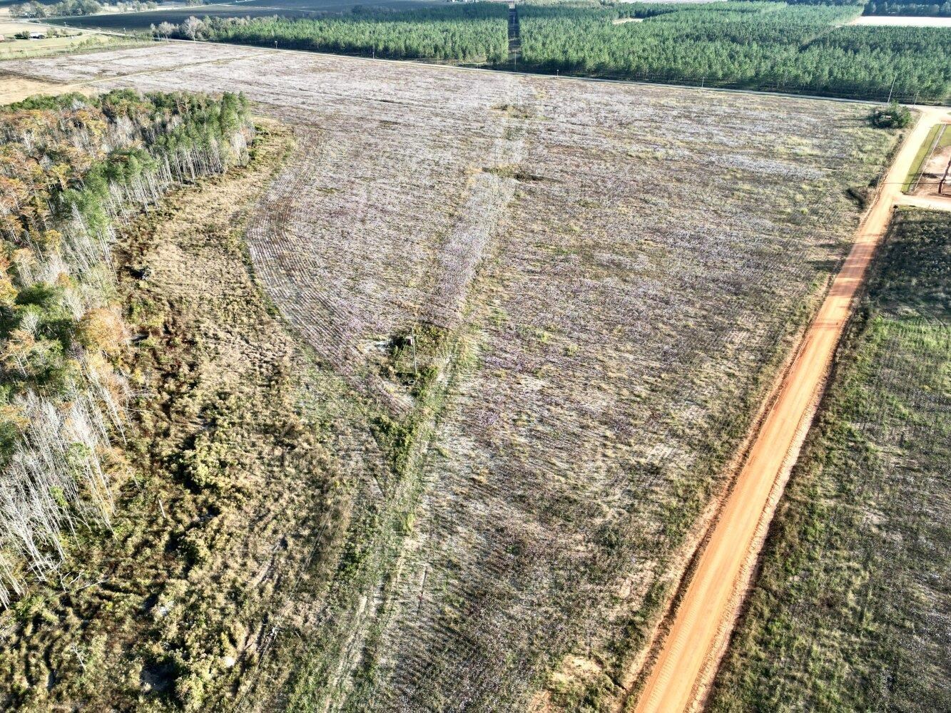 0 Wayside Road Atmore, AL 36502 - Photo 4 of 34