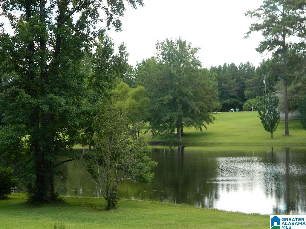 585 Mountainview Lake Road Sylacauga, AL 35150 - Photo 24 of 24