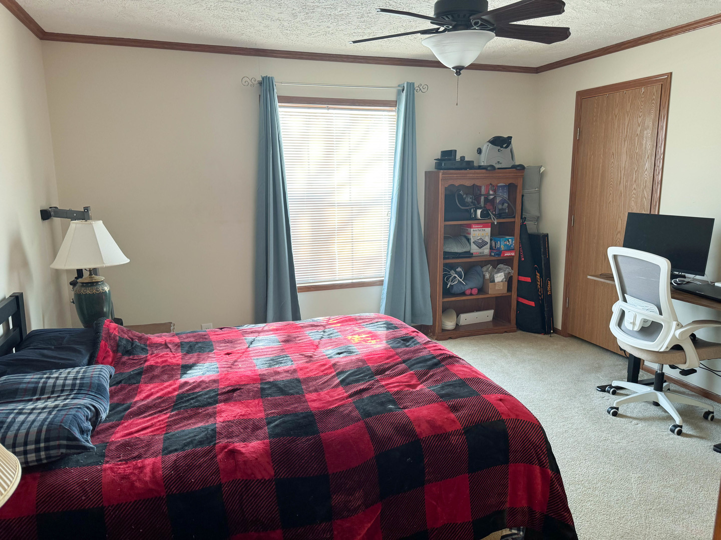 320 North Old Marion Road Goreville, IL 62939 - Photo 21 of 32