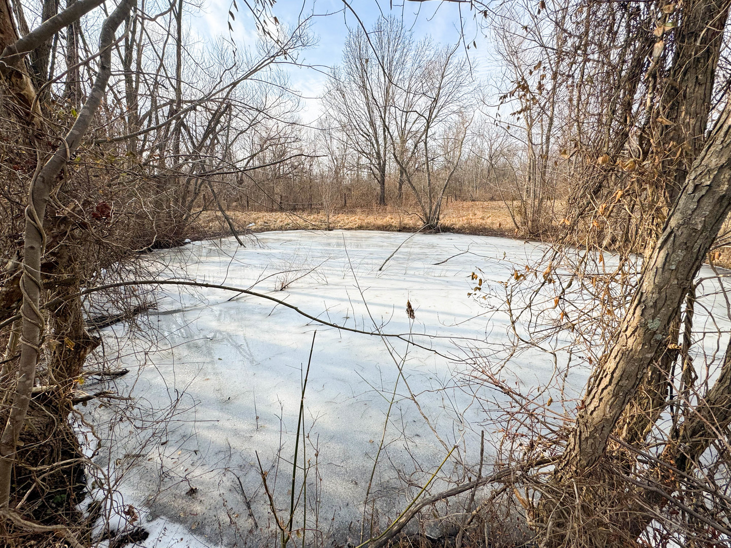 320 North Old Marion Road Goreville, IL 62939 - Photo 7 of 32