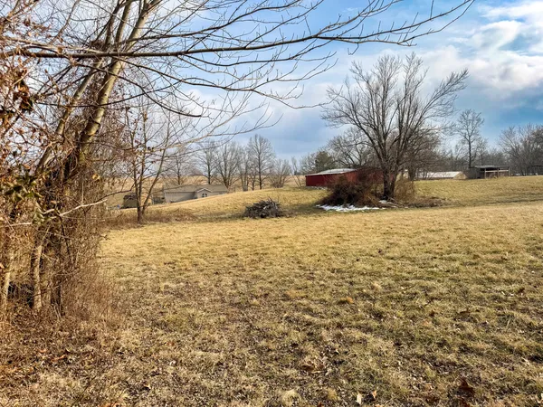 a view of a yard with snow on the roadside