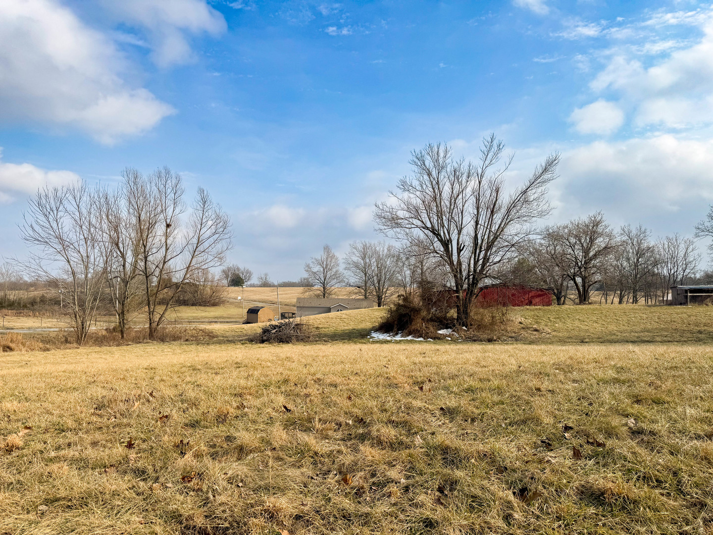 320 North Old Marion Road Goreville, IL 62939 - Photo 9 of 32