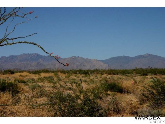 2462 Doc Holliday Road Yucca, AZ 86438 - Photo 1 of 4
