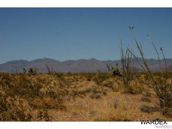 2462 Doc Holliday Road Yucca, AZ 86438 - Photo 2 of 4
