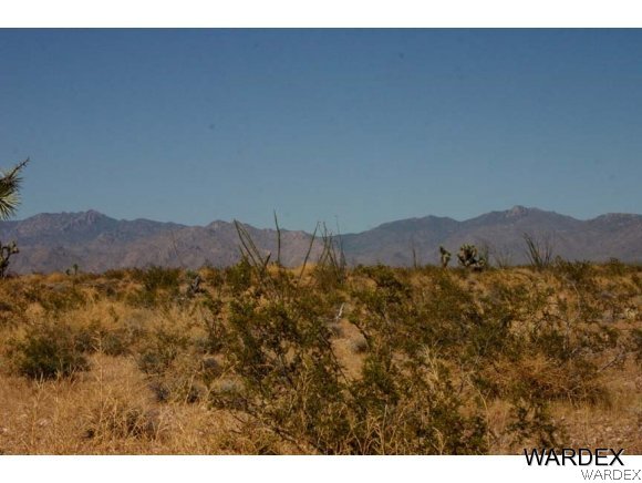 2462 Doc Holliday Road Yucca, AZ 86438 - Photo 3 of 4