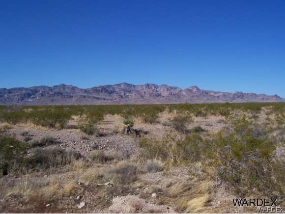 2462 Doc Holliday Road Yucca, AZ 86438 - Photo 4 of 4