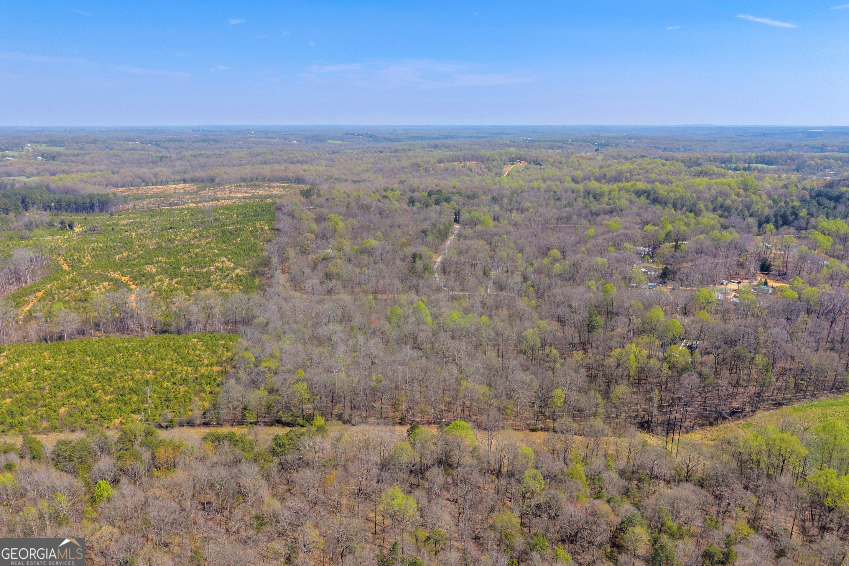 0 Rolling Rock Road Carnesville, GA 30521 - Photo 2 of 4