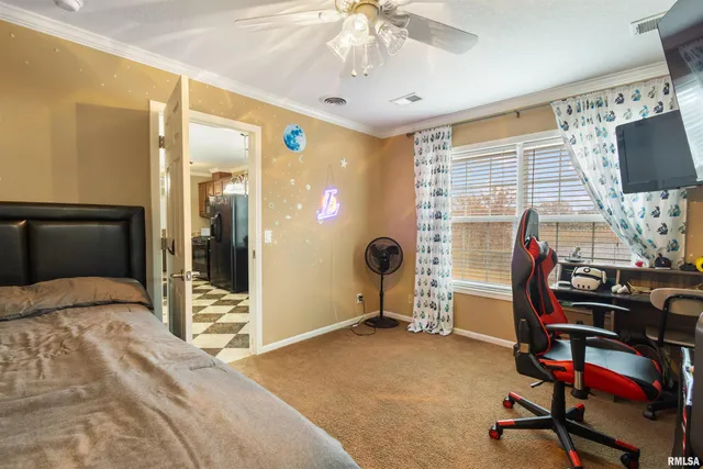 $450,000 | 221 East Gore Street, Goreville, IL 62939