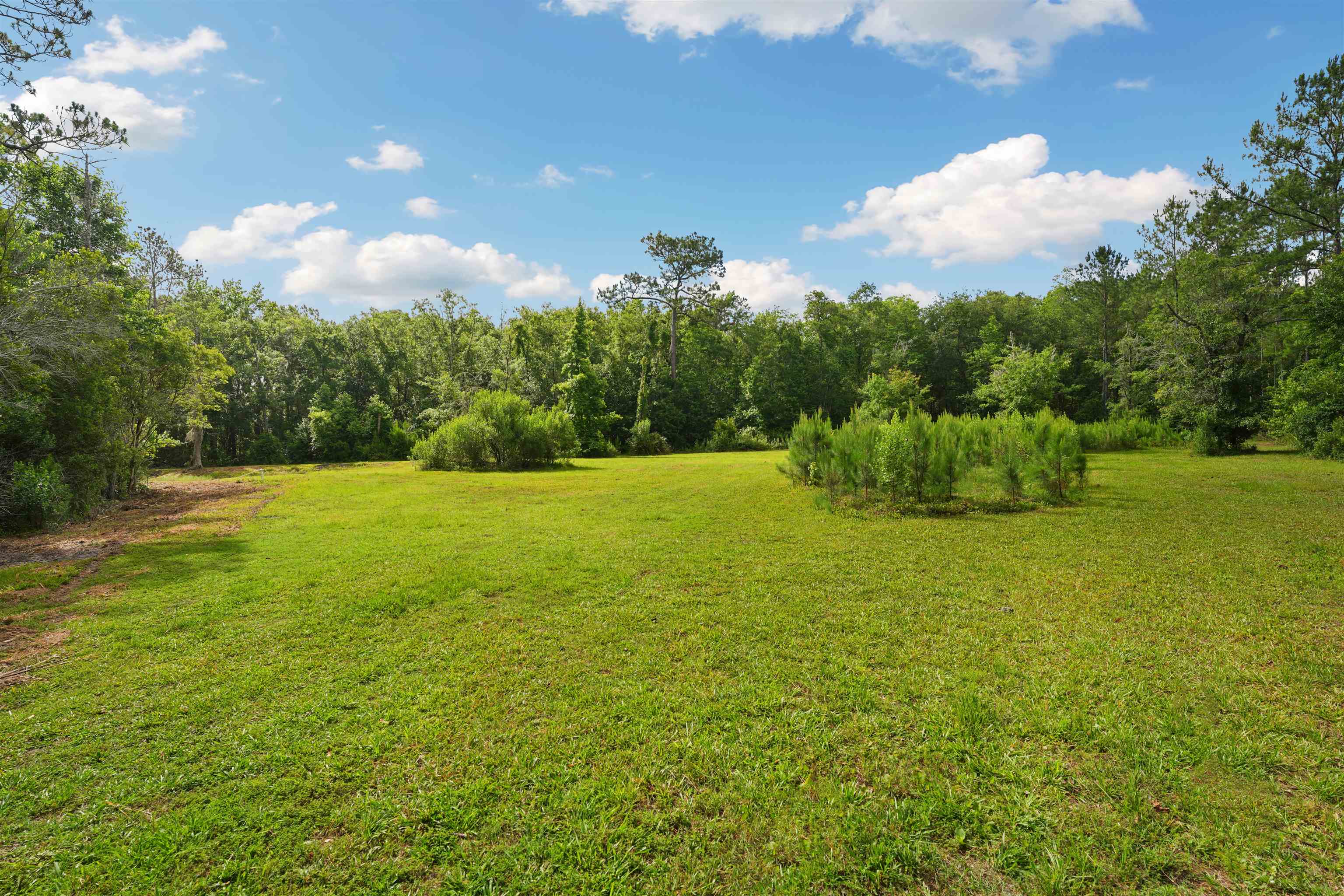 1805 Bennett Road St. Augustine, FL 32092 - Photo 51 of 65