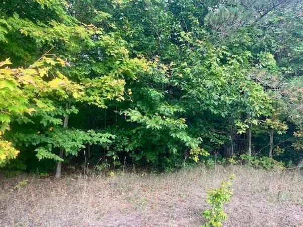 $300,000 | Nine 9 Mile Road, Kaleva, MI 49645