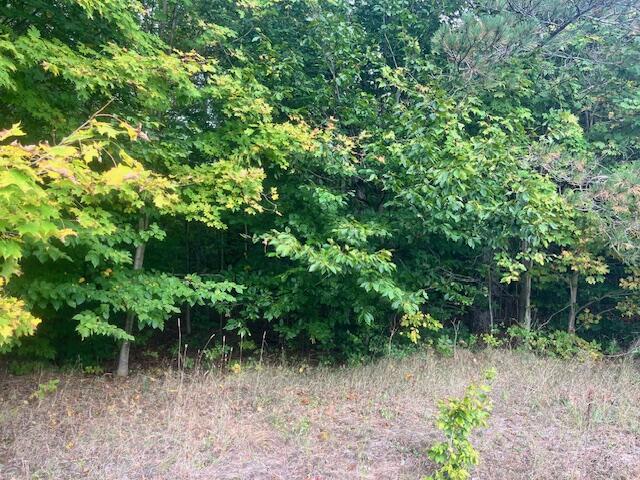 Nine 9 Mile Road Kaleva, MI 49645 - Photo 11 of 13 IMG_6864