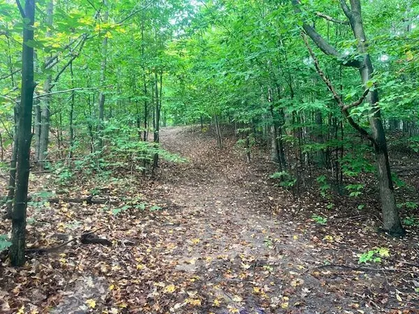 $300,000 | Nine 9 Mile Road, Kaleva, MI 49645
