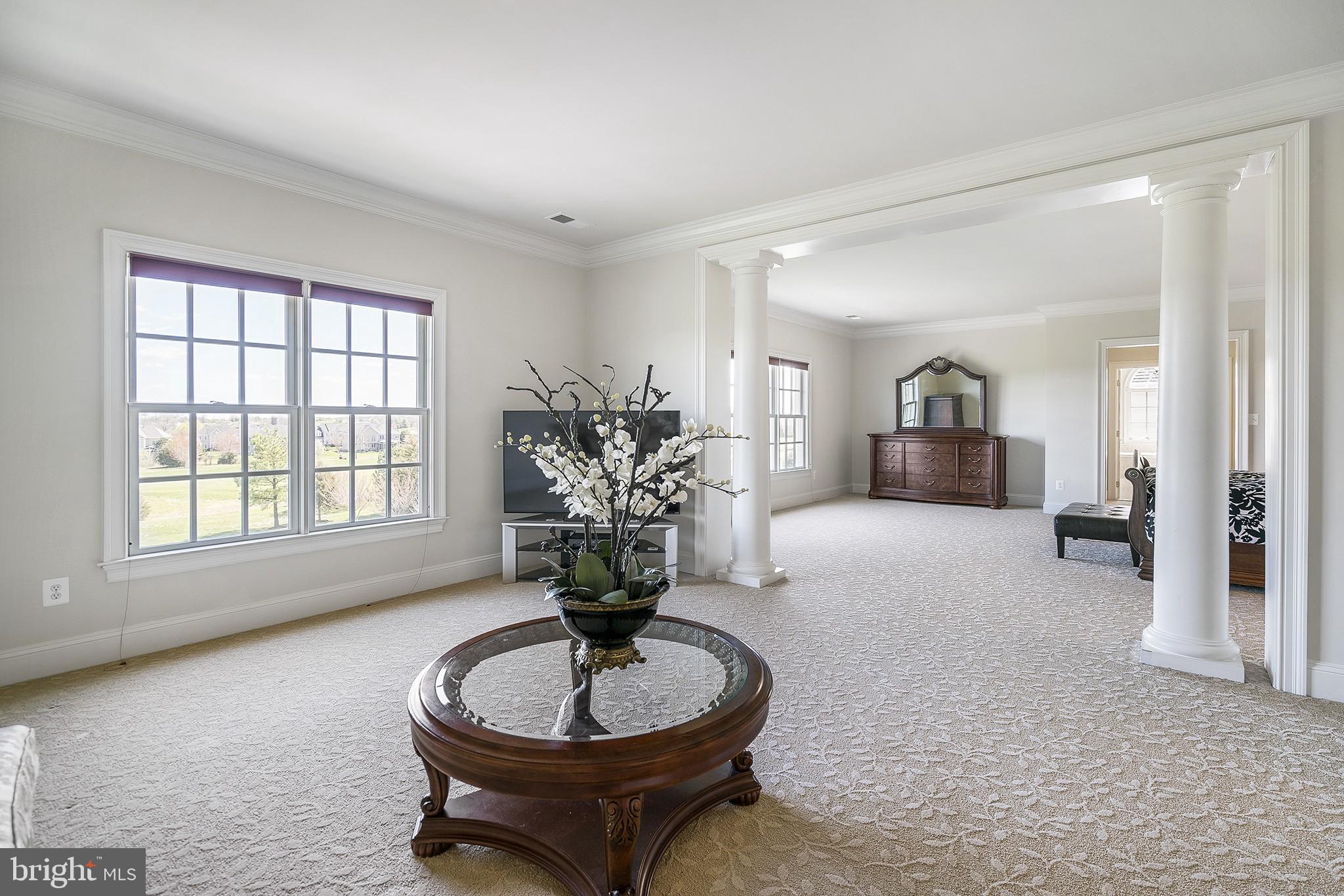 41382 Raspberry Drive Leesburg, VA 20176 - Photo 21 of 43 Grand Master suite with fireplace and sitting room