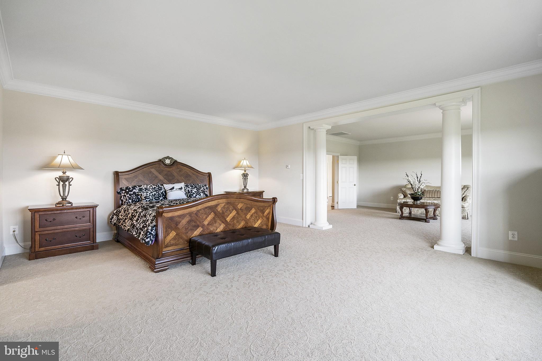 41382 Raspberry Drive Leesburg, VA 20176 - Photo 22 of 43 Spacious Master suite with sitting room.