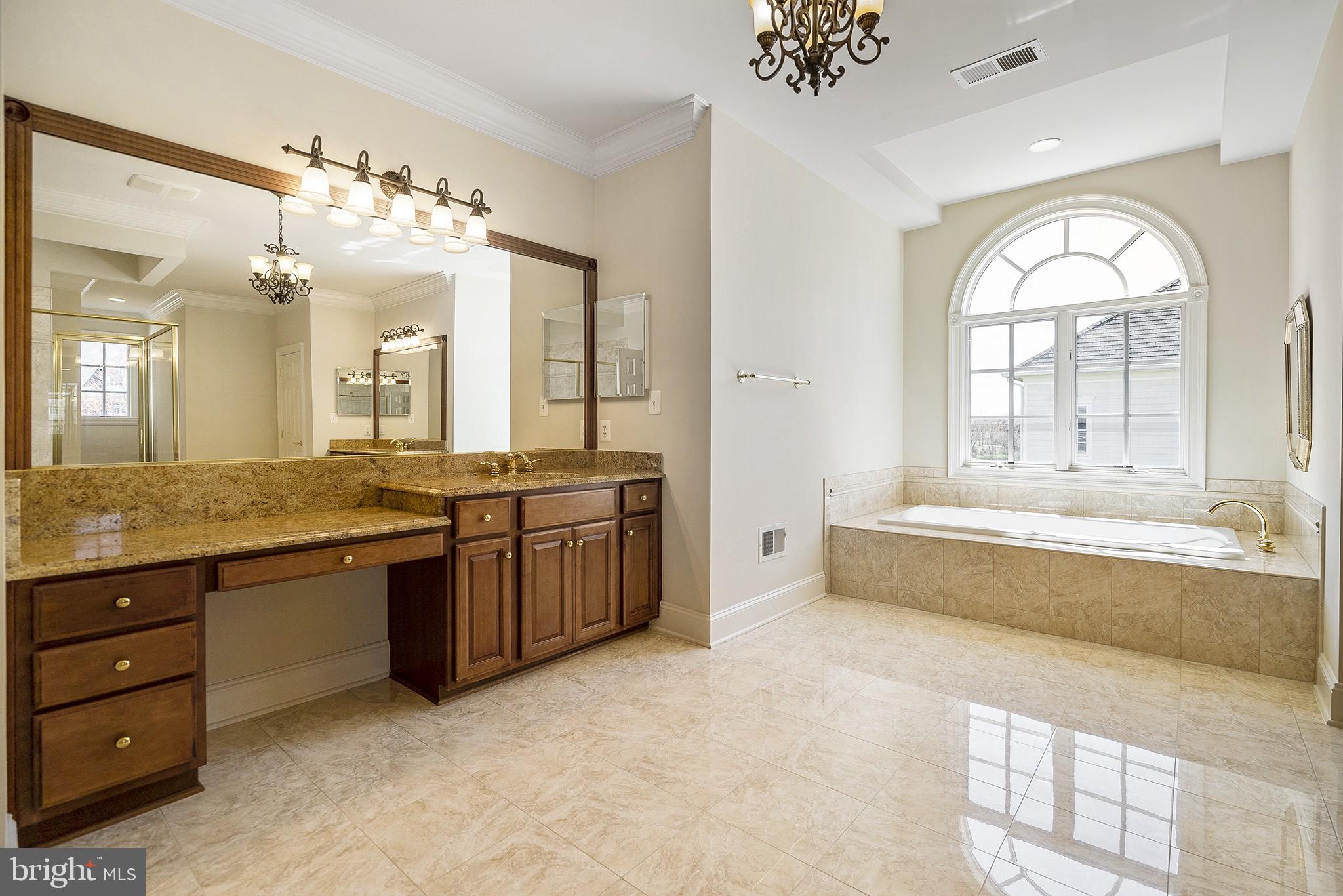 41382 Raspberry Drive Leesburg, VA 20176 - Photo 24 of 43 Spa like bath with custom finishes.