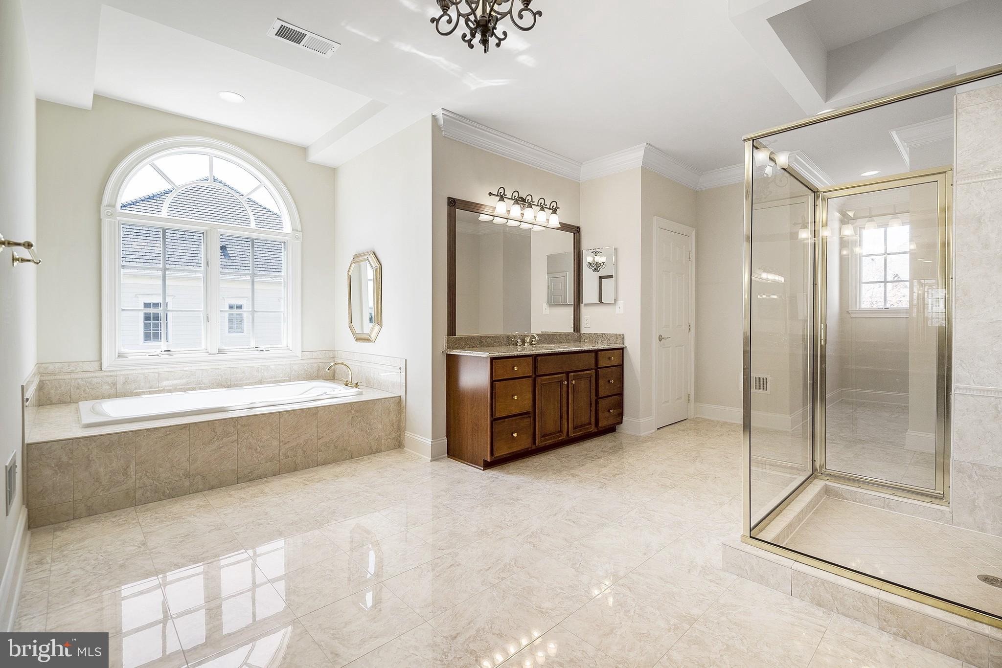 41382 Raspberry Drive Leesburg, VA 20176 - Photo 25 of 43 Relax in your luxury master bathroom!
