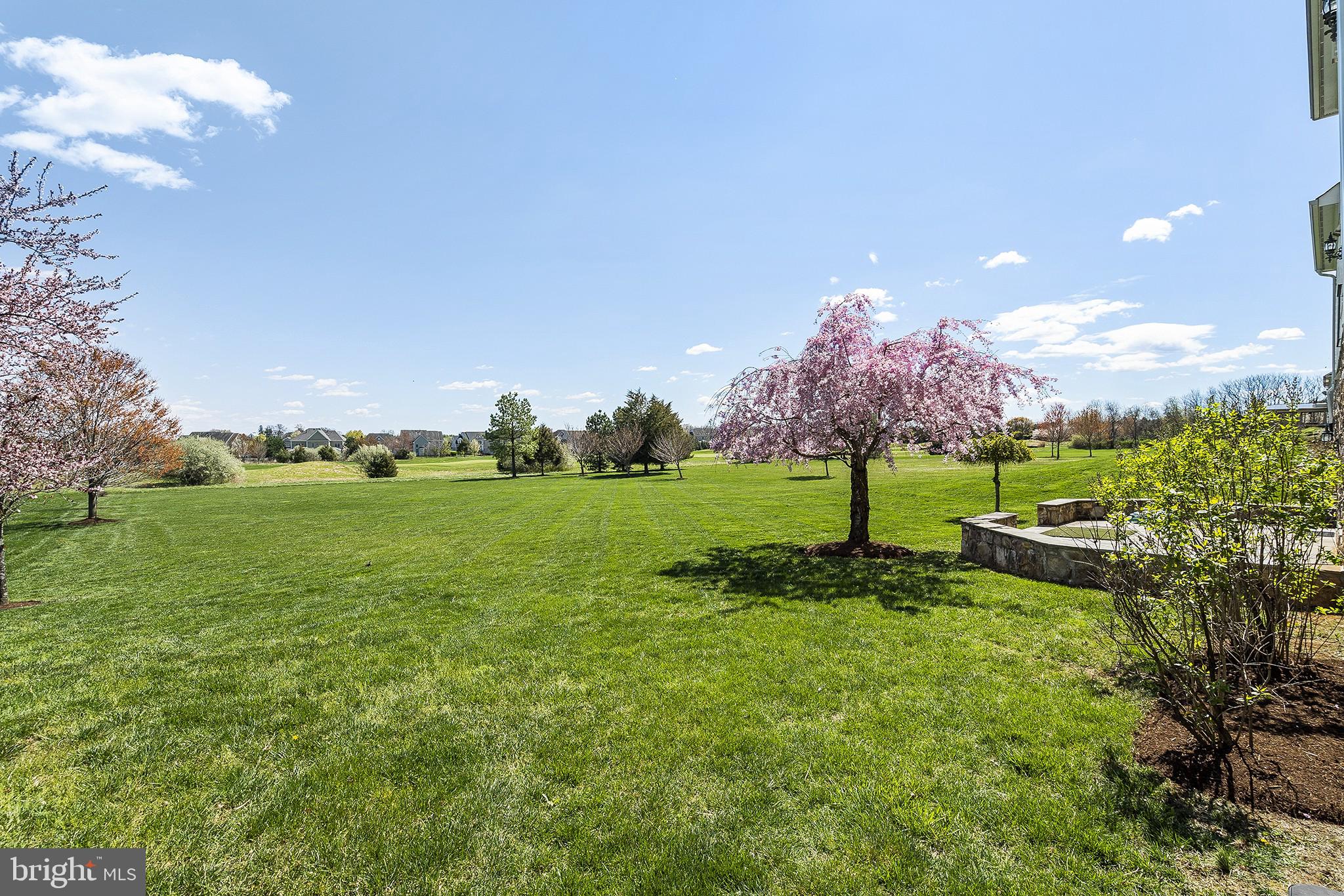 41382 Raspberry Drive Leesburg, VA 20176 - Photo 41 of 43 Just look at this spacious backyard!