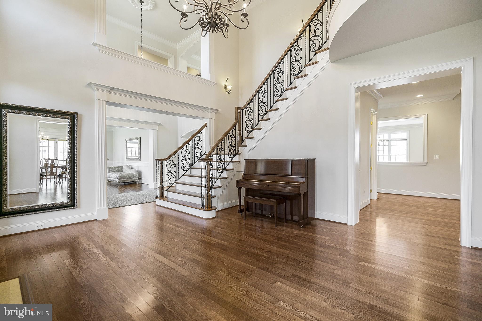 41382 Raspberry Drive Leesburg, VA 20176 - Photo 6 of 43 Living room right off the foyer with powder room.