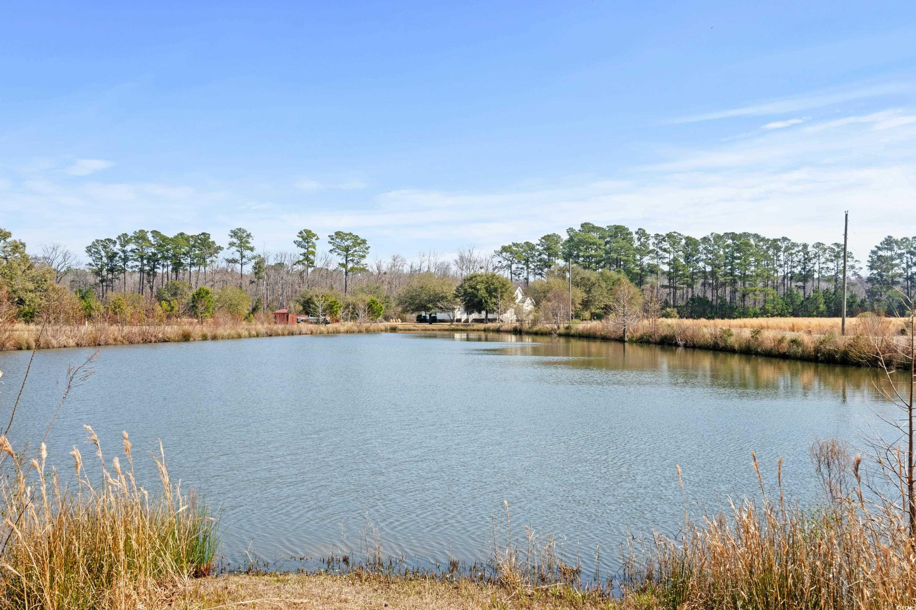 589 Loop Circle Longs, SC 29568 - Photo 35 of 40