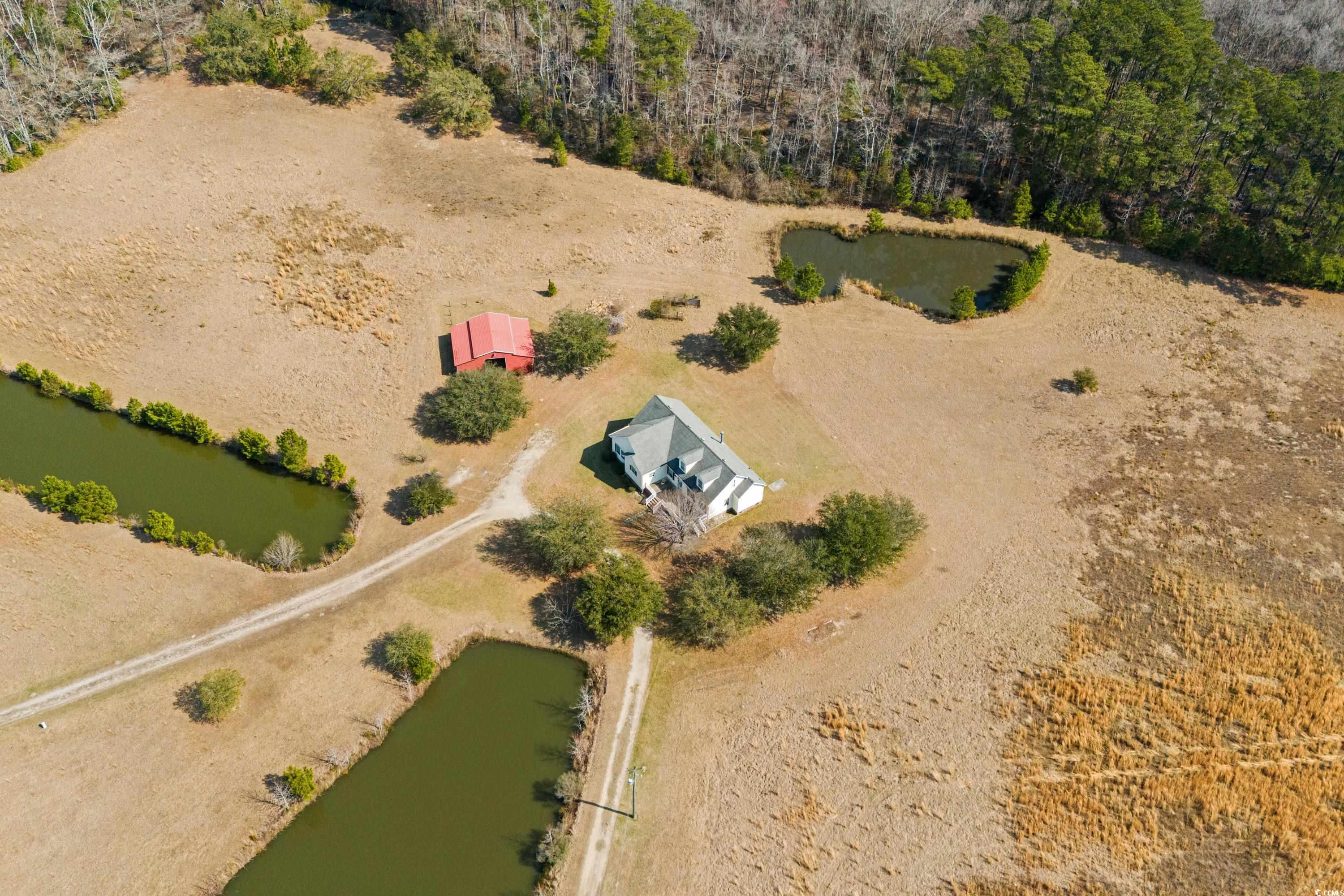 589 Loop Circle Longs, SC 29568 - Photo 4 of 40