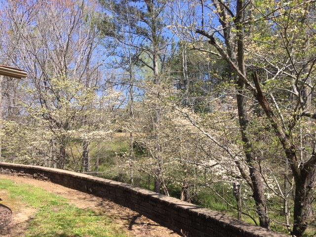 17 Lewter Road Taft, TN 38488 - Photo 12 of 30 a view of lake from the window