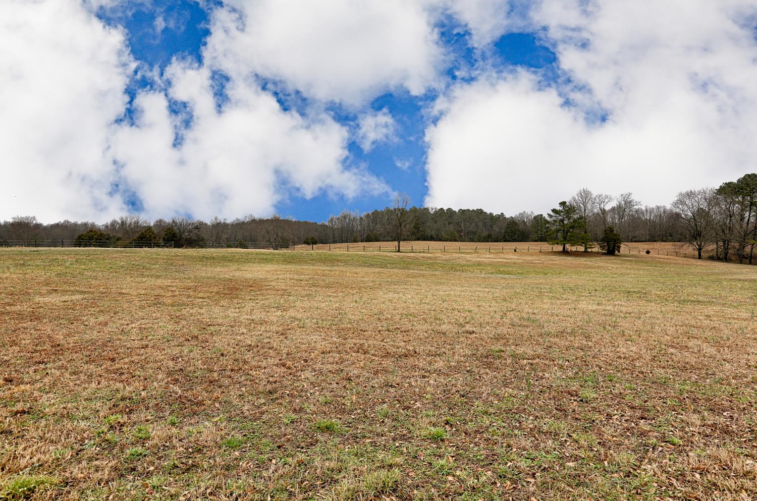 17 Lewter Road Taft, TN 38488 - Photo 6 of 30 a view of an ocean and beach