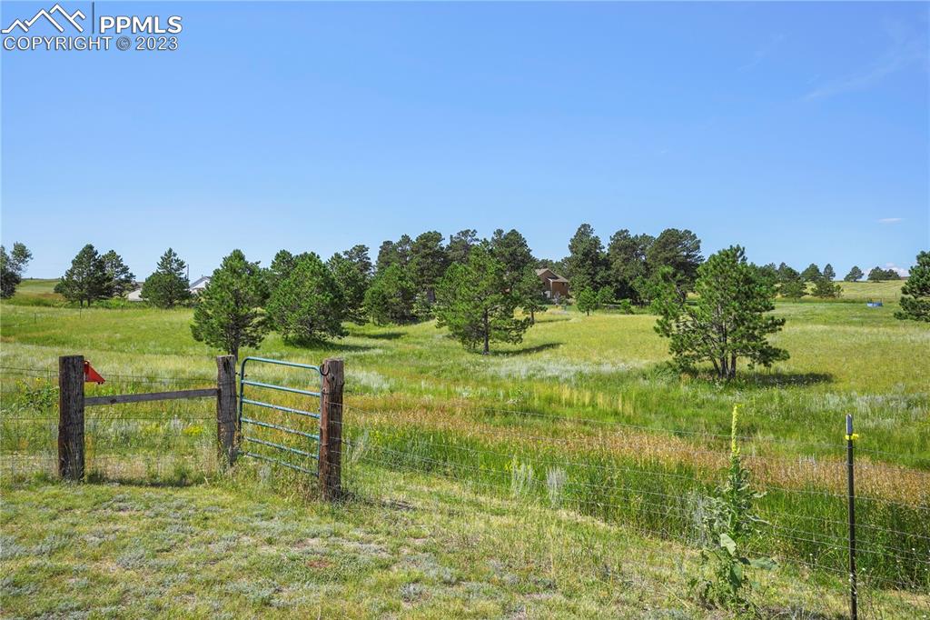 12825 Mc Cune Road Elbert, CO 80106 - Photo 50 of 50 a garden with trees in the background