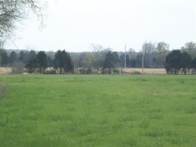 0 Taylor Road Murfreesboro, TN 37128 - Photo 3 of 5 BACK