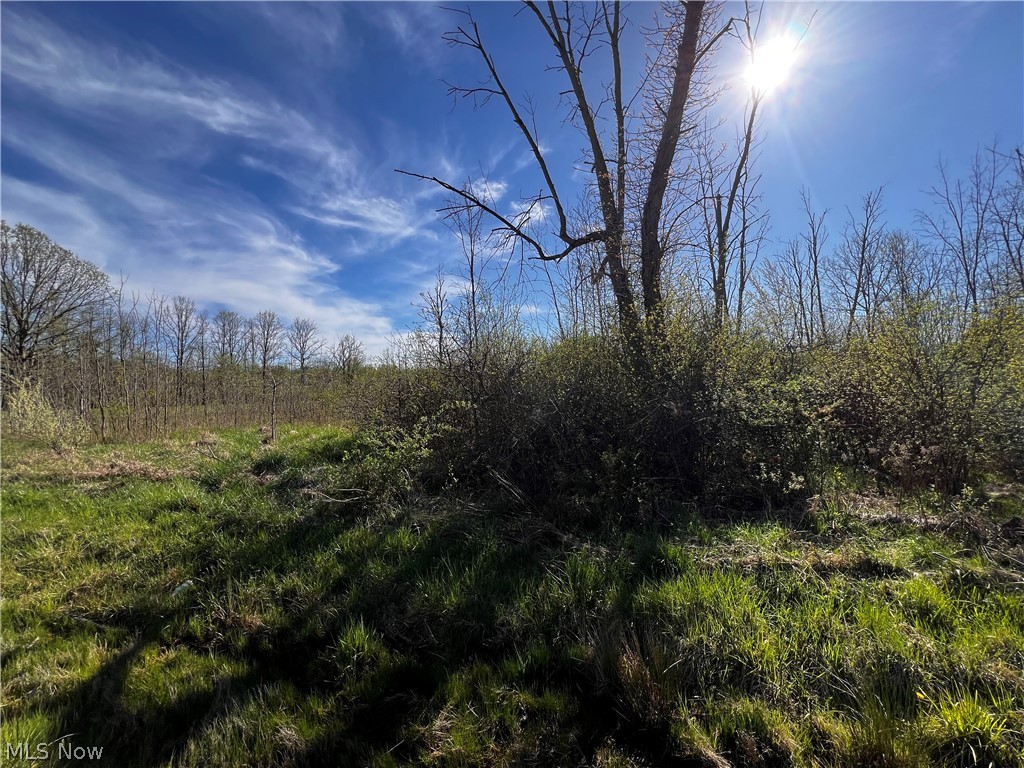 683 Rome Rock Creek Road Rock Creek, OH 44084 - Photo 2 of 3