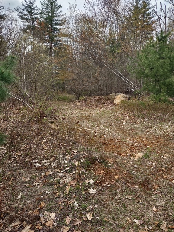 86-90 Town Farm Road Brookfield, MA 01506 - Photo 1 of 3 Gallery Image 1