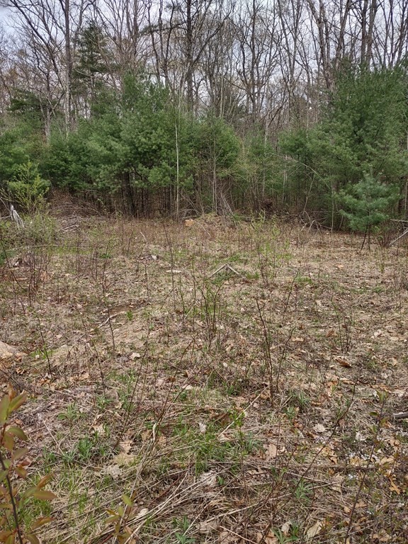 86-90 Town Farm Road Brookfield, MA 01506 - Photo 3 of 3 Gallery Image 3