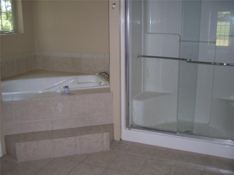 5129 Curry Road Baldwin, PA 15236 - Photo 9 of 12 Master Bath/Spa.
