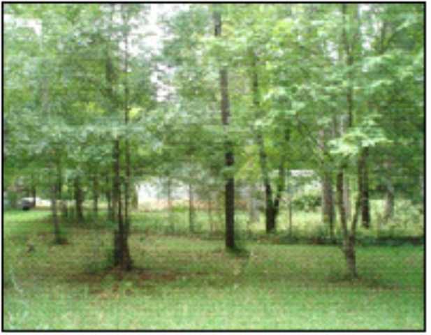 Lot 1 Ken Pat Acres Road Westminster, SC 29693 - Photo 5 of 6 Gallery Image 5