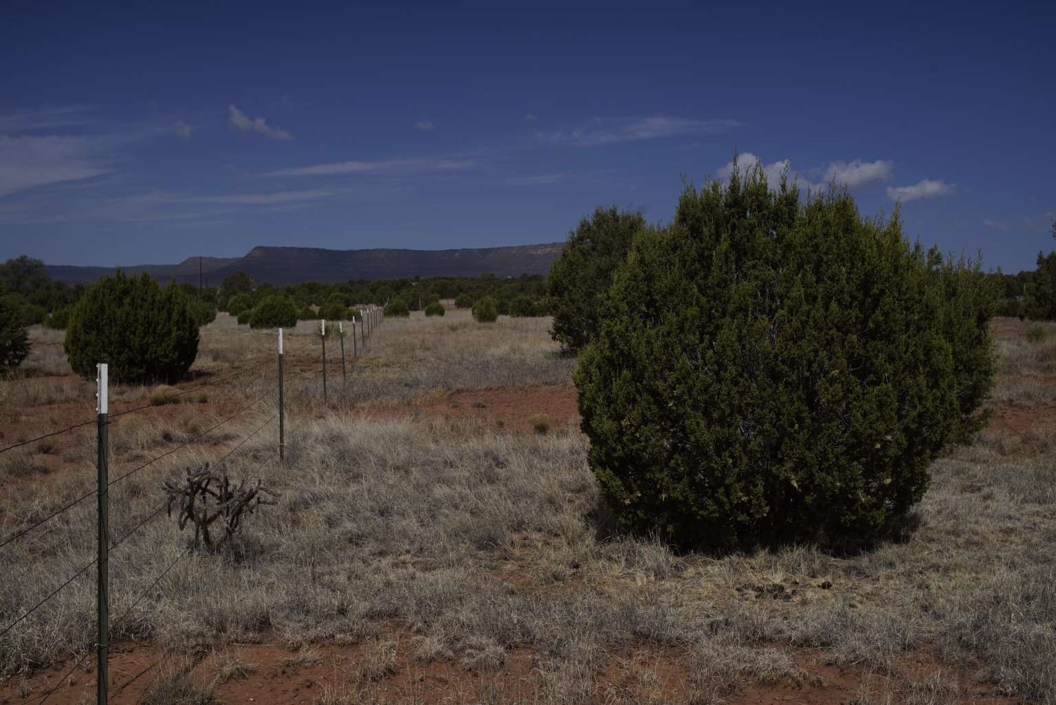 0 County Road Ribera, NM 87560 - Photo 18 of 20