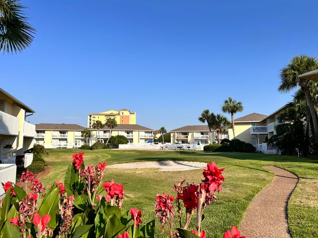 a view of a swimming pool with a chair and palm trees