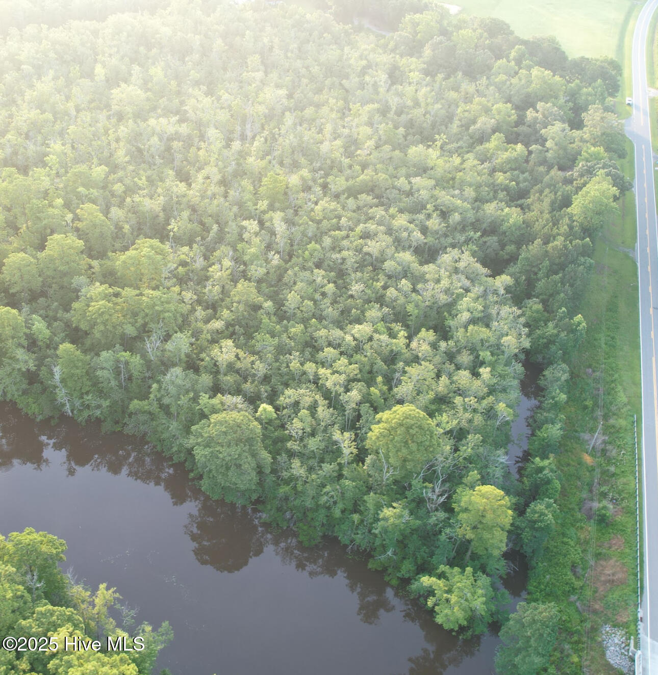 8103 Mackeys Road Roper, NC 27970 - Photo 19 of 26 Mackeys Creek and canal on property
