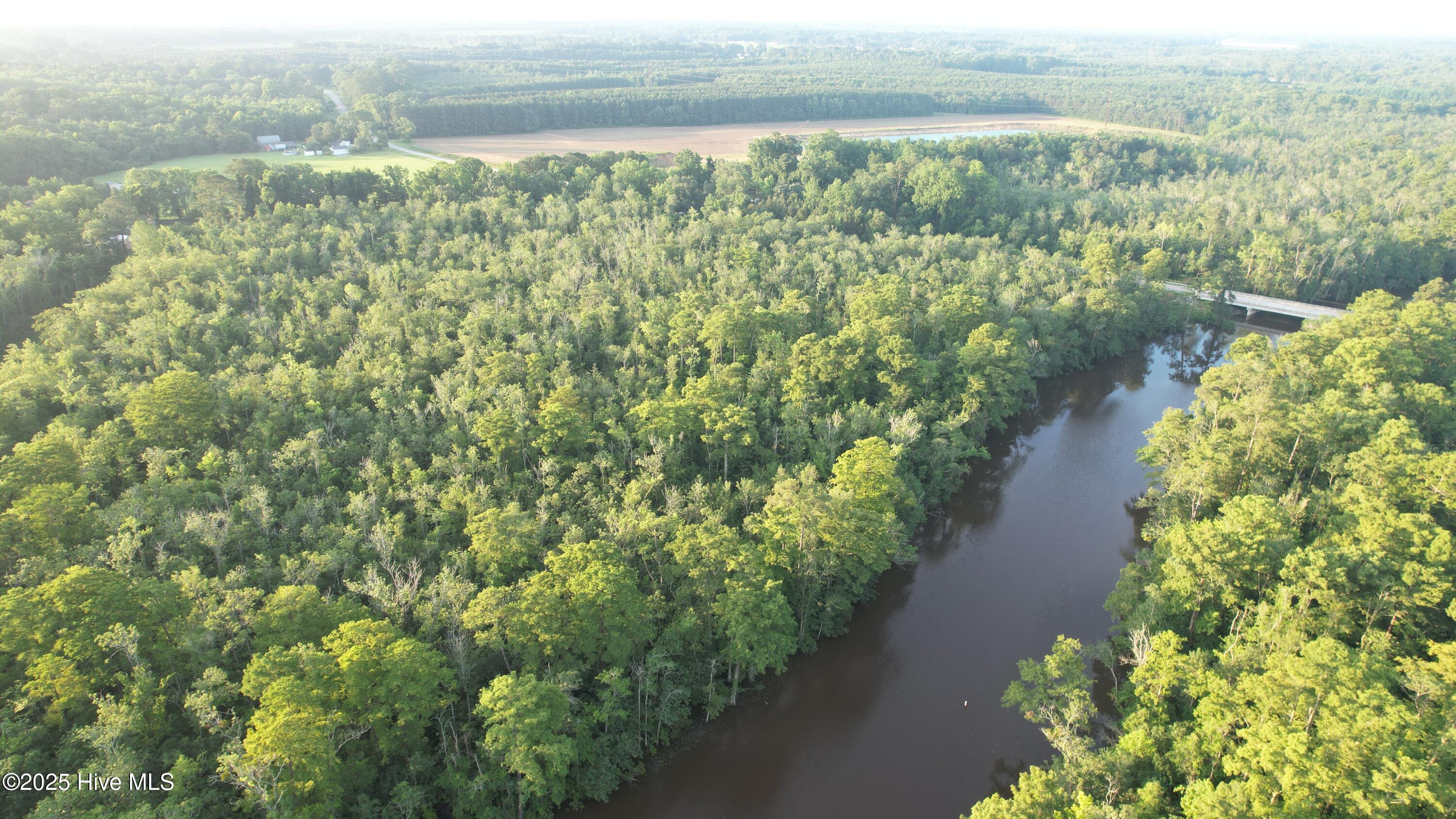 8103 Mackeys Road Roper, NC 27970 - Photo 20 of 26 Mackeys Creek