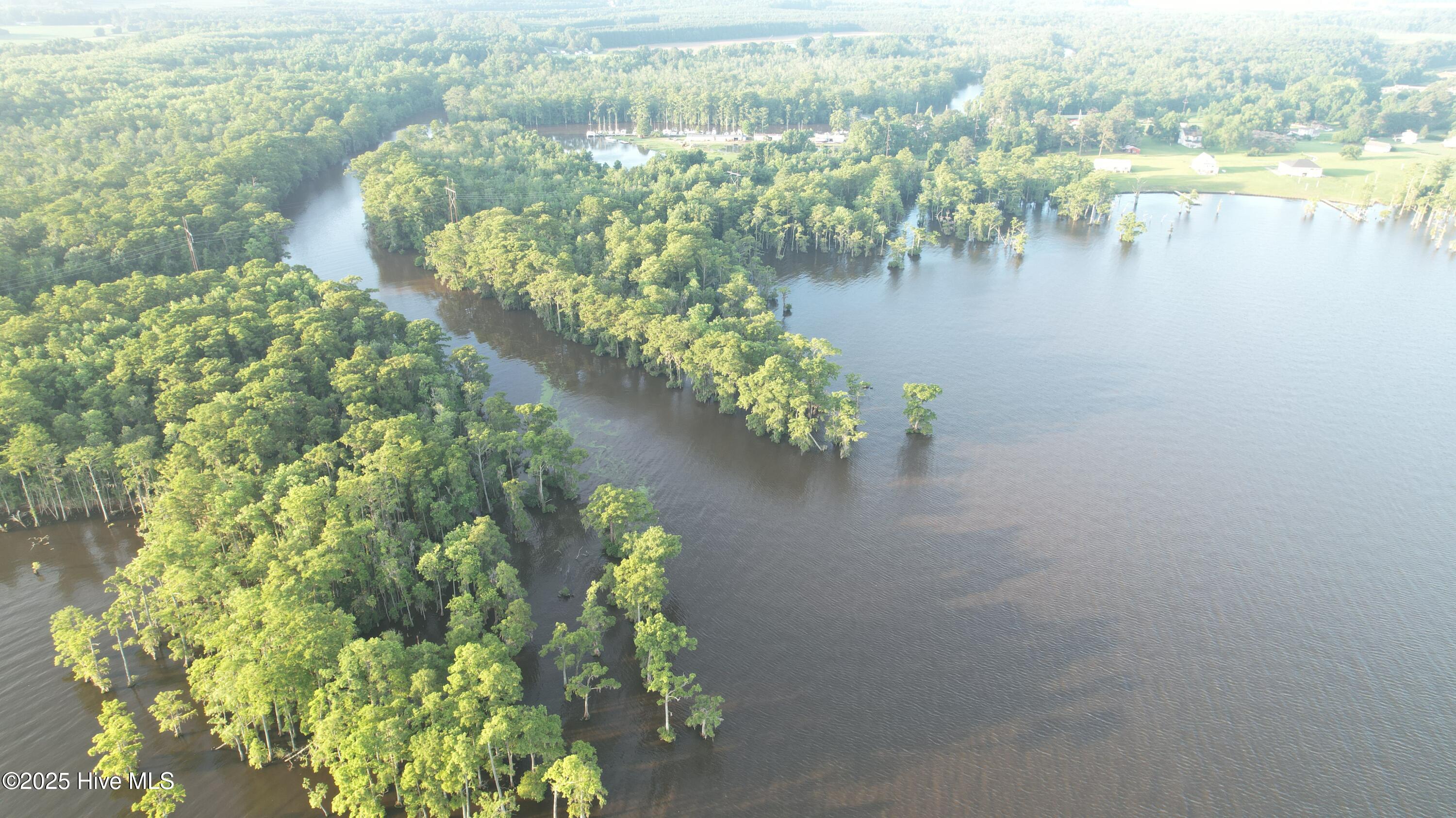 8103 Mackeys Road Roper, NC 27970 - Photo 22 of 26 Albemarle Sound