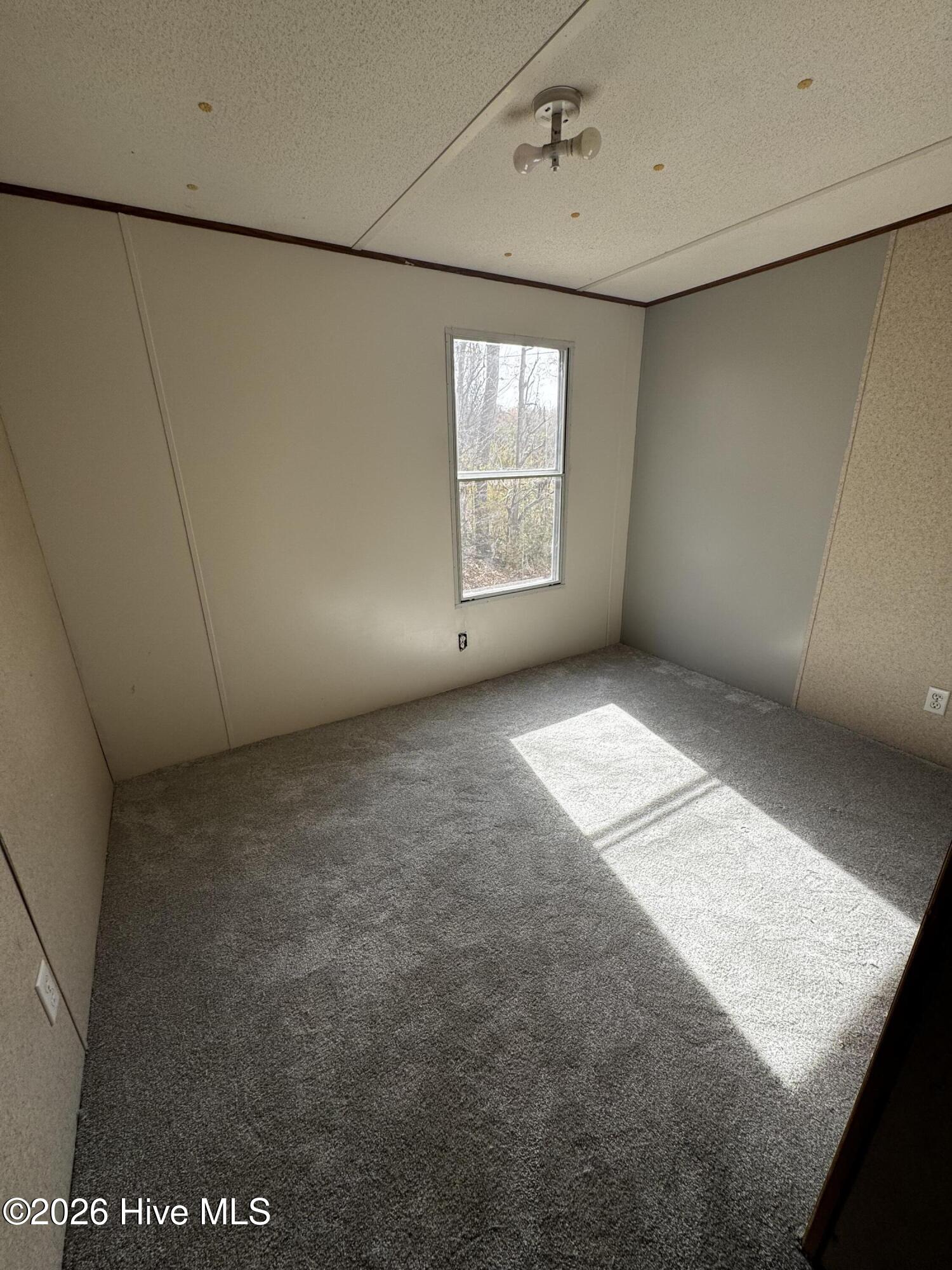 8103 Mackeys Road Roper, NC 27970 - Photo 10 of 26 2nd bedroom with new carpet