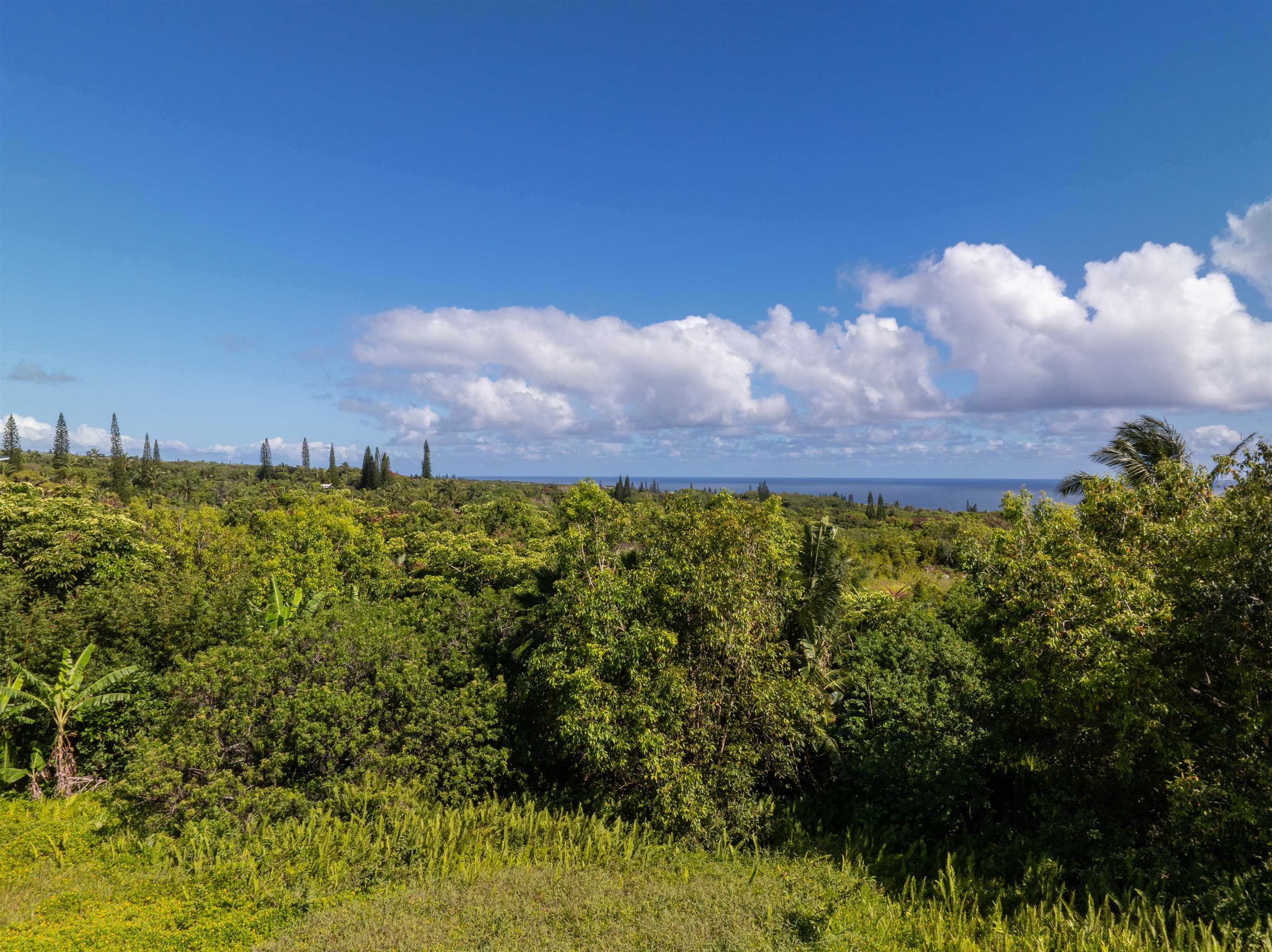601 North Honokala Road, Unit B Haiku, HI 96708 - Photo 19 of 38